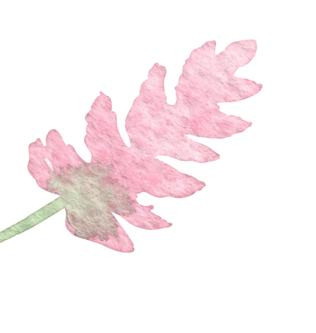 Mibella flower